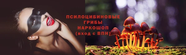 a pvp Алзамай