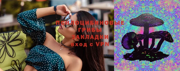 a pvp Алзамай