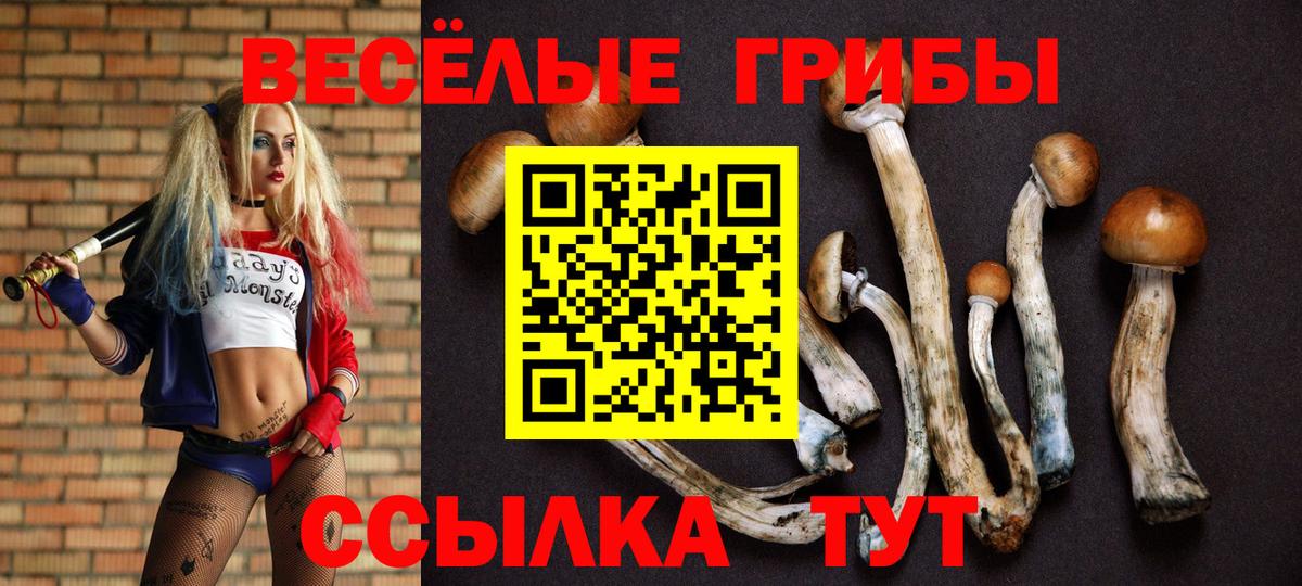 Галлюциногенные грибы Psilocybe  Вход с VPN  Пушкино 
