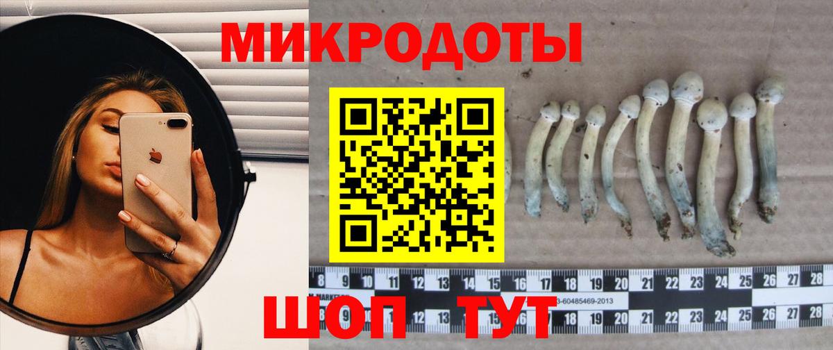 Псилоцибиновые грибы Magic Shrooms Пушкино