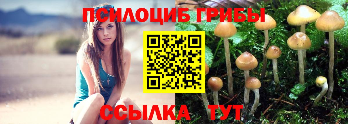 МАРИХУАНА Пушкино